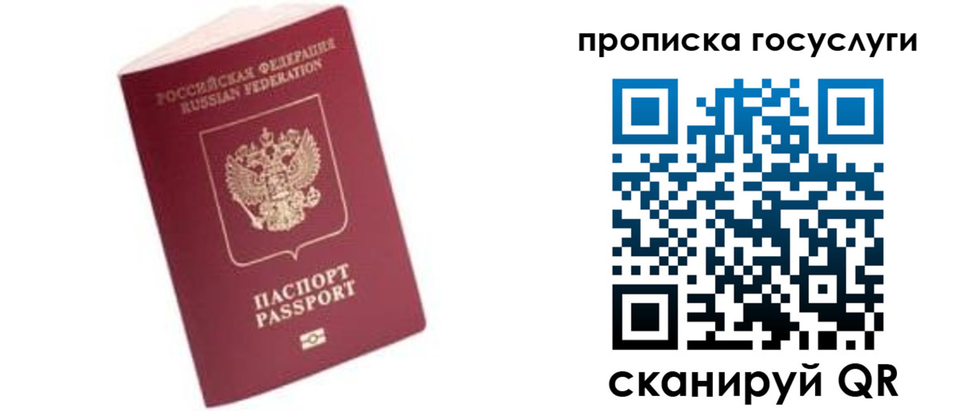 прописка в Апатитах